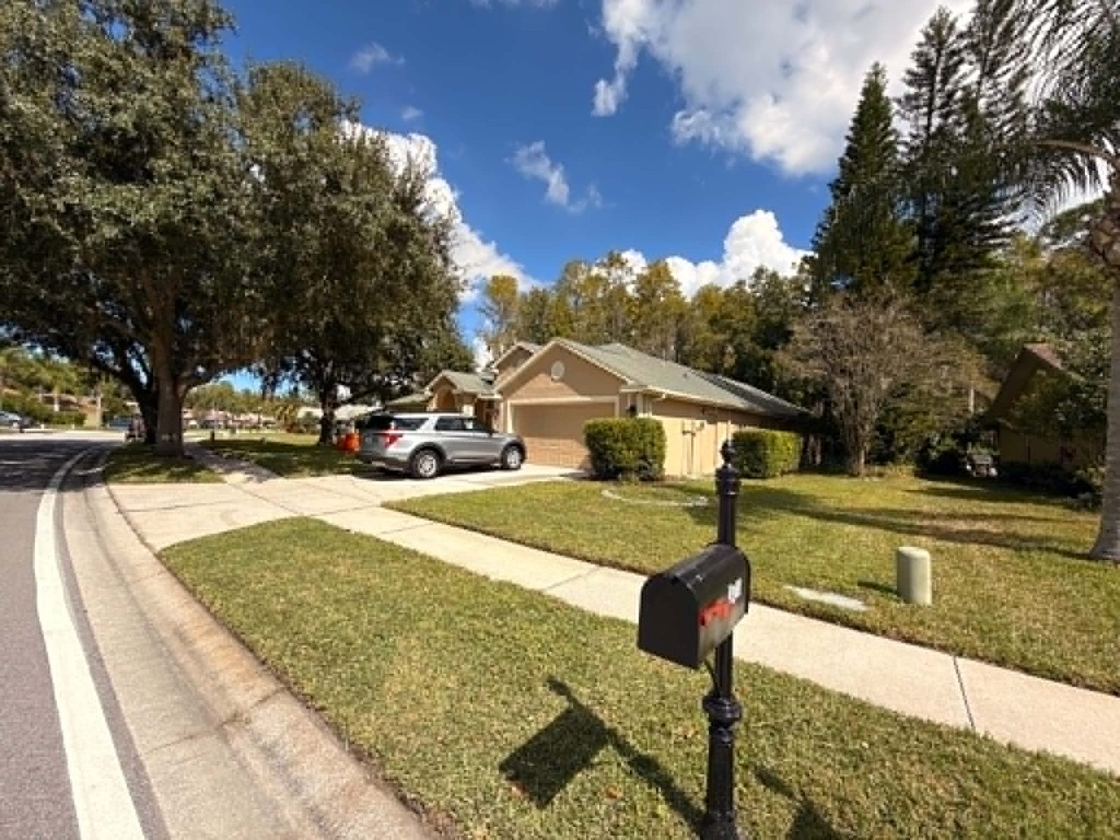 Residential lawn edged and mowed in Spring Hill