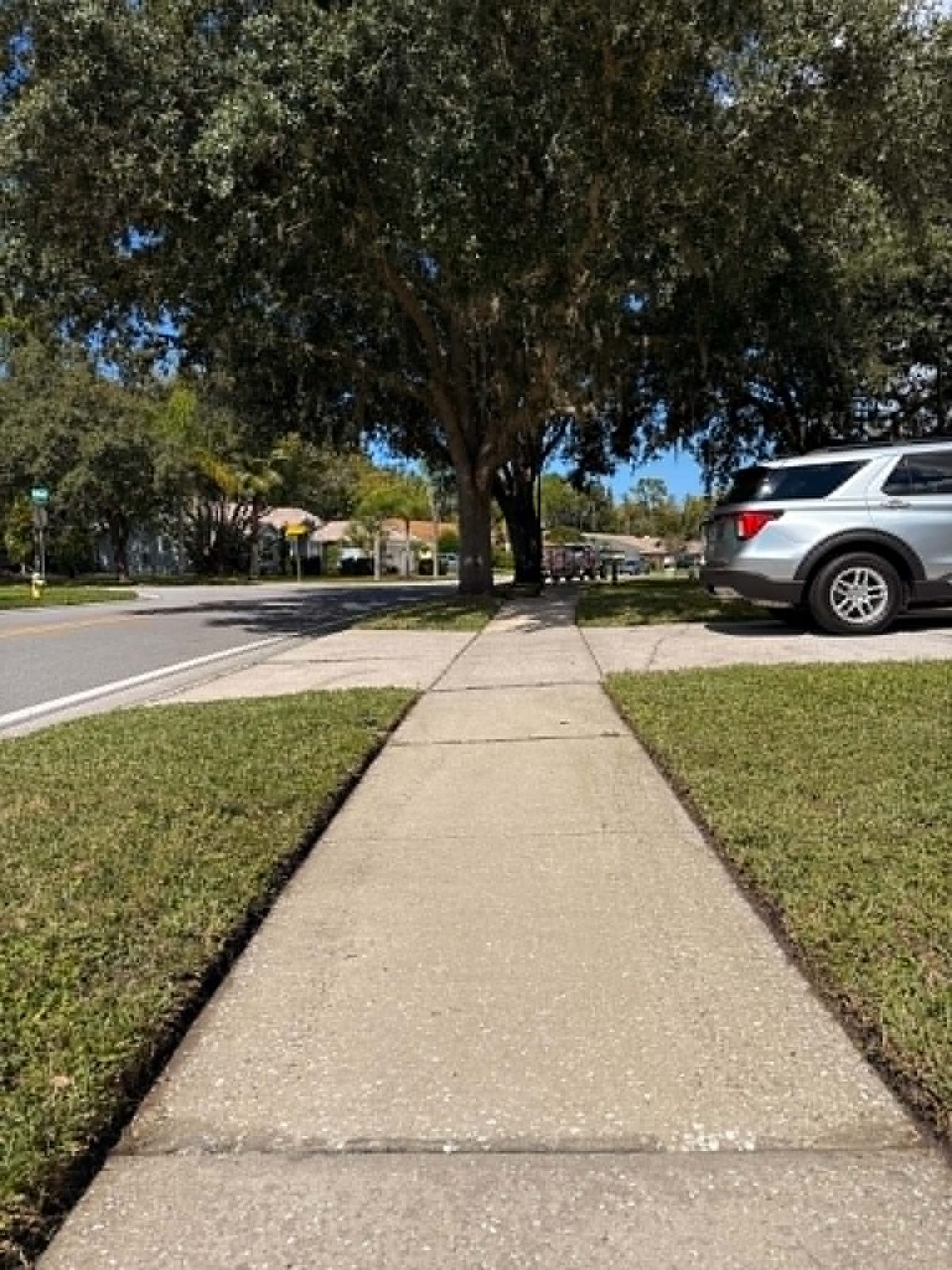 Crisp edging along a sidewalk