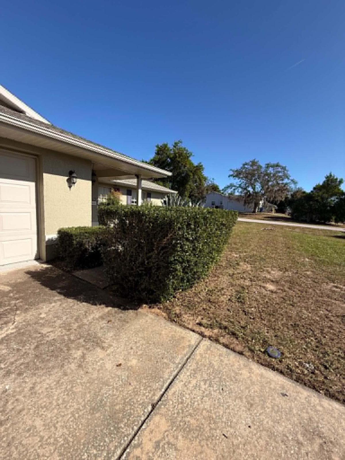 Trimmed hedges alongside a Florida home